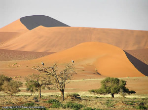 Désert du Namib, Namib-Naukluft, Namibie. Author and Copyright Marco Ramerini