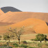 Désert du Namib, Namib-Naukluft, Namibie. Author and Copyright Marco Ramerini