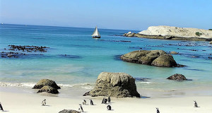 Pingouins à Foxy Beach, Boulders, Le Cap, Afrique du Sud. Auteur et Copyright: Marco Ramerini