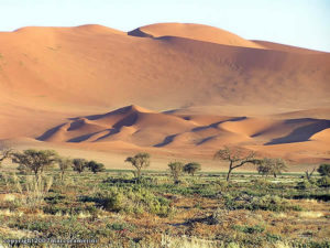 Sossusvlei, Désert du Namib, Namib-Naukluft, Namibie. Author and Copyright Marco Ramerini