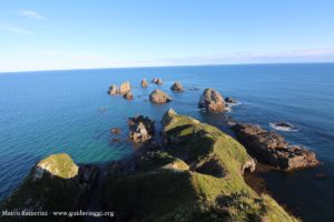 Les rochers de Nugget Point, Catlins, Nouvelle-Zélande. Auteur et Copyright Marco Ramerini