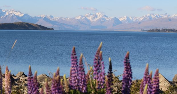 Lake Tekapo, Nouvelle-Zélande. Auteur et Copyright Marco Ramerini